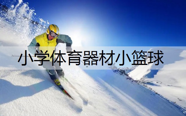小学体育器材小篮球