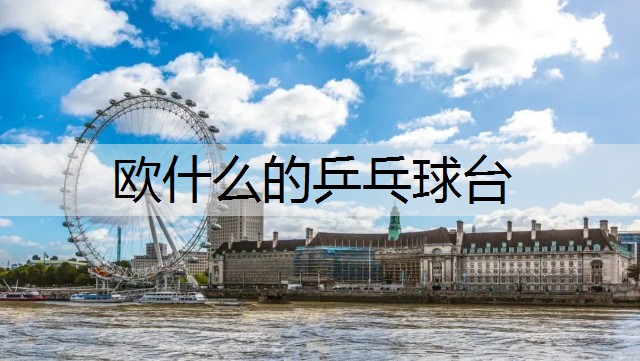欧什么的乒乓球台