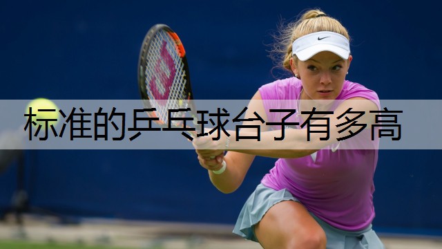 标准的乒乓球台子有多高