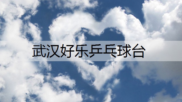 武汉好乐乒乓球台