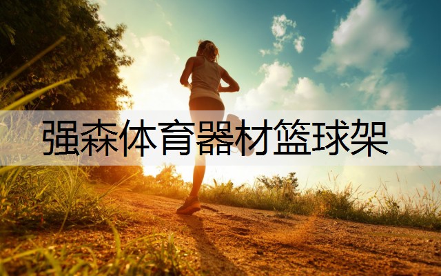 强森体育器材篮球架