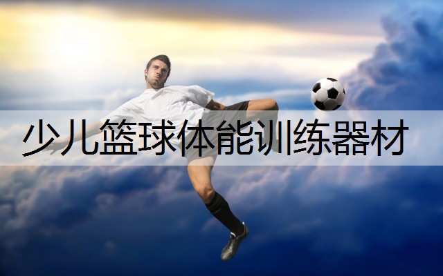 少儿篮球体能训练器材