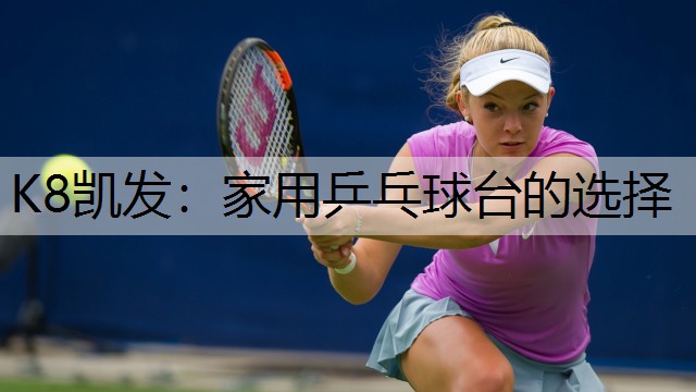 K8凯发：家用乒乓球台的选择