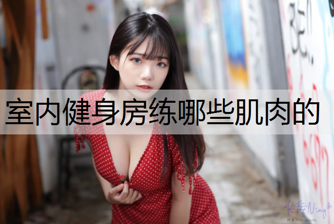室内健身房练哪些肌肉的