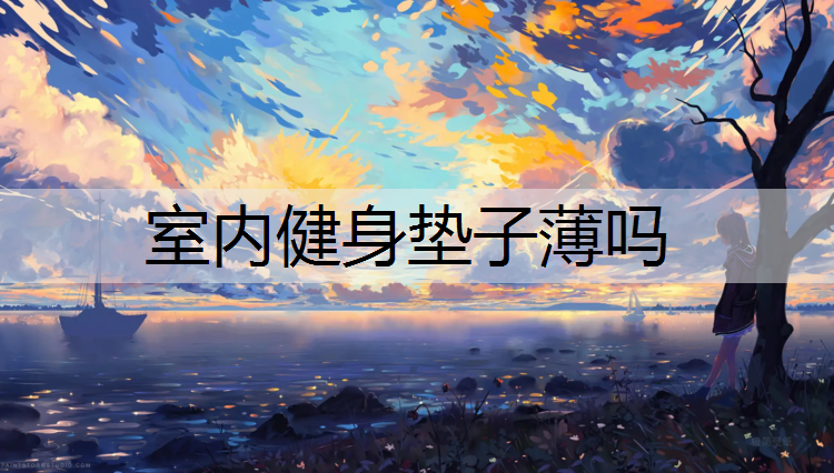 室内健身垫子薄吗