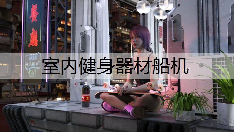 室内健身器材船机