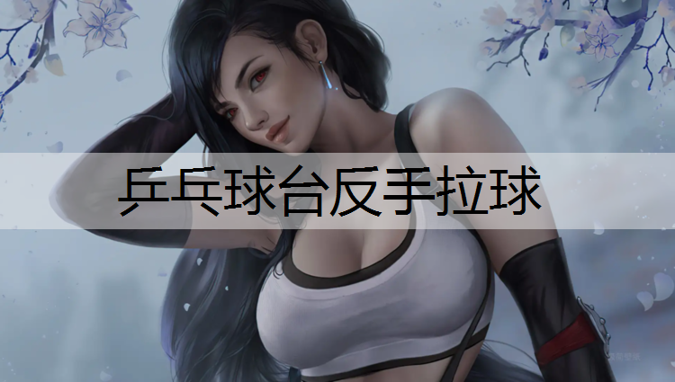 乒乓球台反手拉球