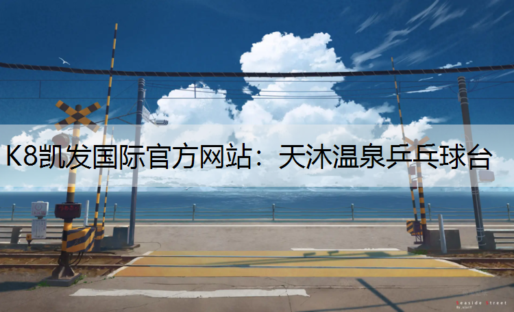 K8凯发国际官方网站：天沐温泉乒乓球台