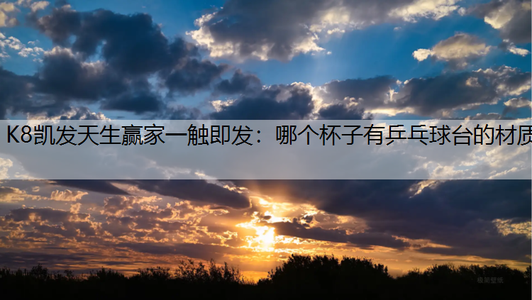 K8凯发天生赢家一触即发：哪个杯子有乒乓球台的材质