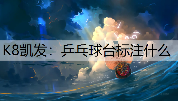 K8凯发：乒乓球台标注什么