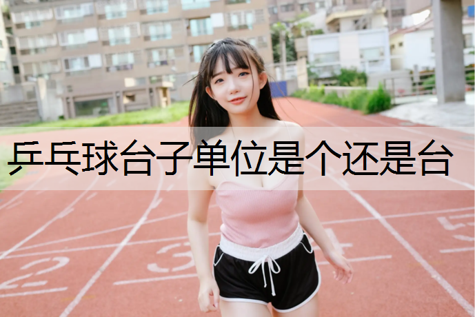 乒乓球台子单位是个还是台
