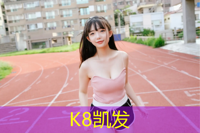 K8凯发：佛山网球网价格查询表
