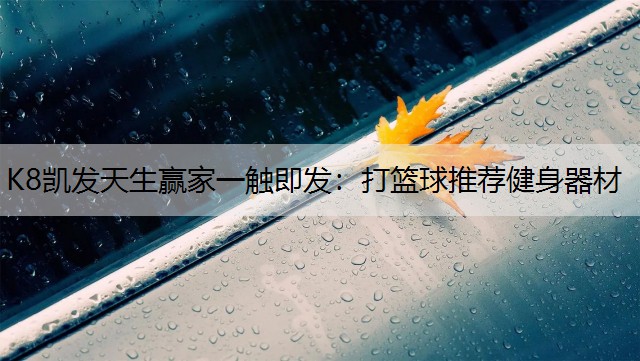 打篮球推荐健身器材