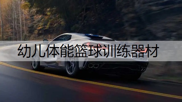 幼儿体能篮球训练器材