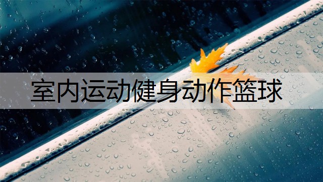 室内运动健身动作篮球