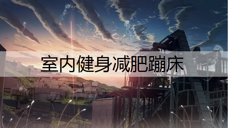 室内健身减肥蹦床