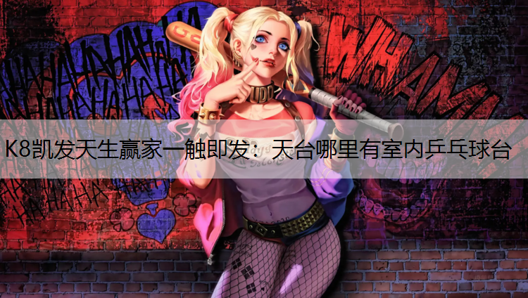 天台哪里有室内乒乓球台