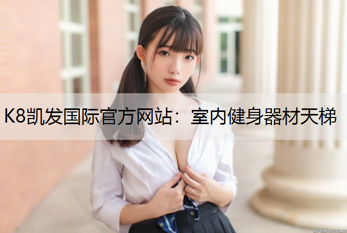 室内健身器材天梯