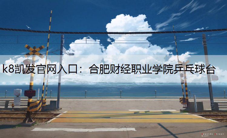 合肥财经职业学院乒乓球台
