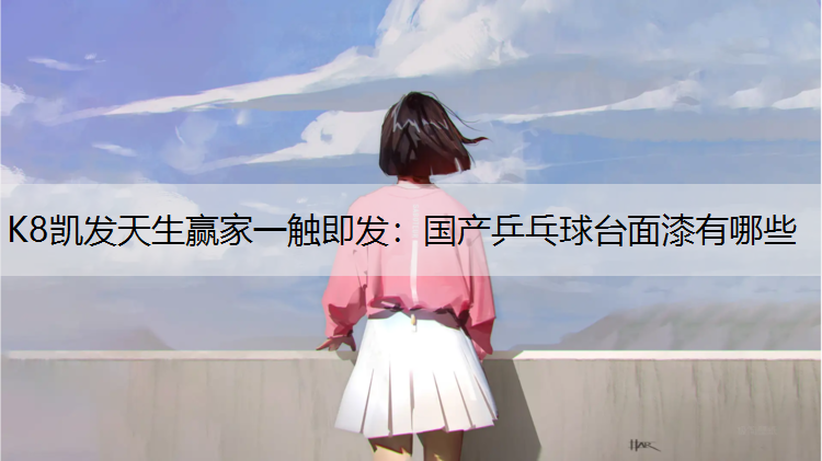 国产乒乓球台面漆有哪些