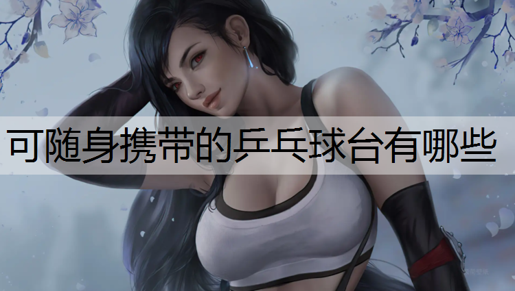 可随身携带的乒乓球台有哪些