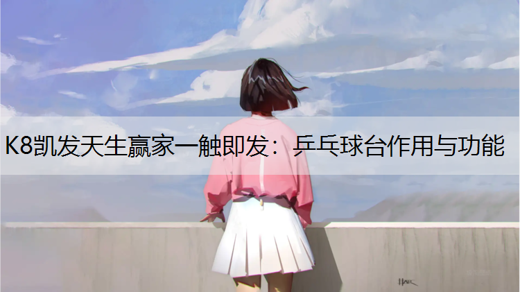 乒乓球台作用与功能