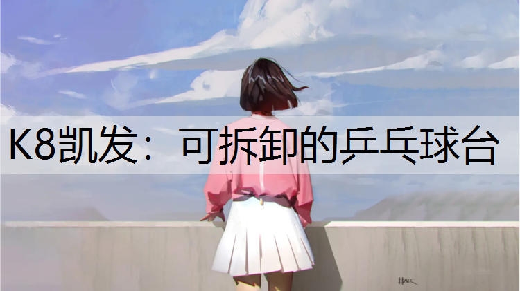 可拆卸的乒乓球台