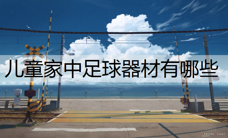 儿童家中足球器材有哪些